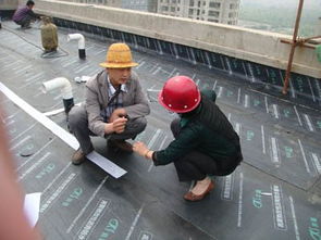 云陽專業(yè)防水補漏公司 電話與一站式維修服務